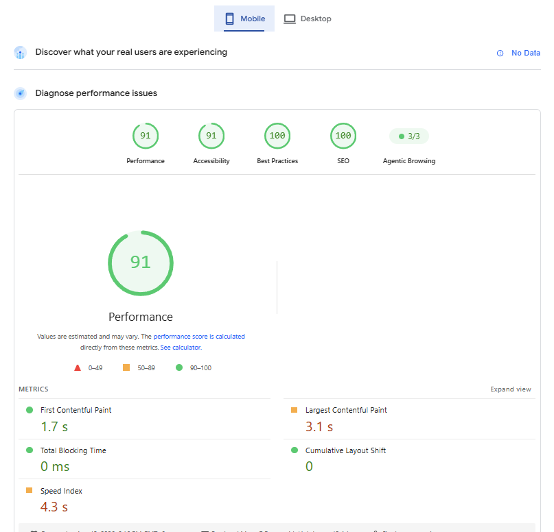 Google PageSpeed Insights, mobile result